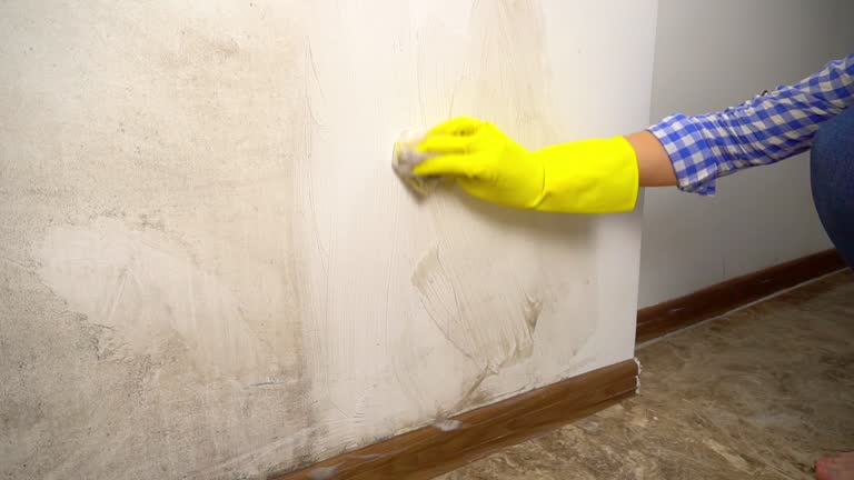 Best Residential Mold Inspection & Testing  in Kings Mills, OH