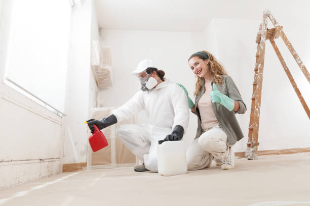 Best Real Estate Mold Inspection  in Kings Mills, OH